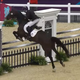 London 2012 Olympic Show Jumping (Screenshot: YouTube)